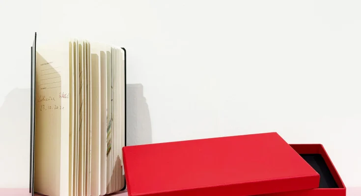 Katharina Grosse - Untitled, 2025 Hatje Cantz Edition